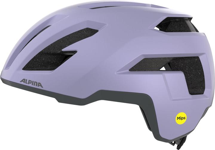 Image du produit ALPINA SPORTS Taunus Gravel Mips (55 - 59 cm)