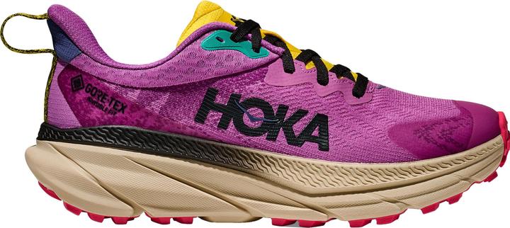 Hoka Challenger 7 GTX (41)