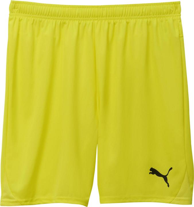 Puma teamGOAL Shorts Jr (140)