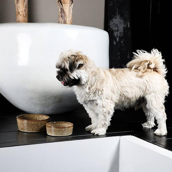 Actual product image EBI Jasper Cat Plate sand Stone