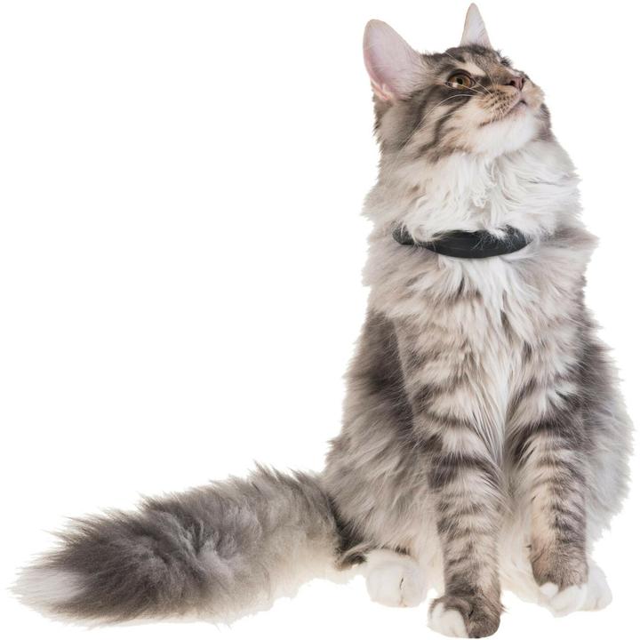 Image du produit PetTracer Dispositif de suivi GPS pour chats (Chat, Général)