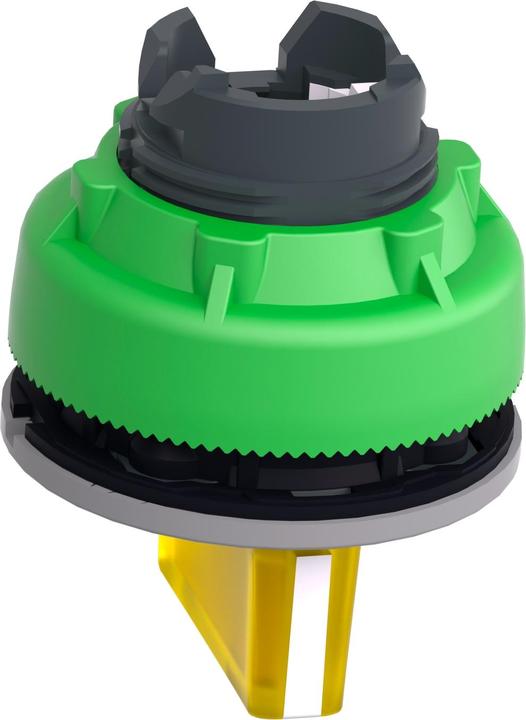 Actual product image Schneider Electric Illuminated selector switch, front, plastic, ZB5FK1583C0