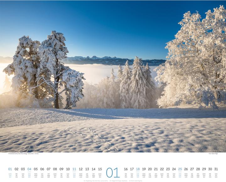 Immagine prodotto Wald Kalender 2026 (54 x 48 cm, Copertina rigida, Tedesco, Francese, Inglese)