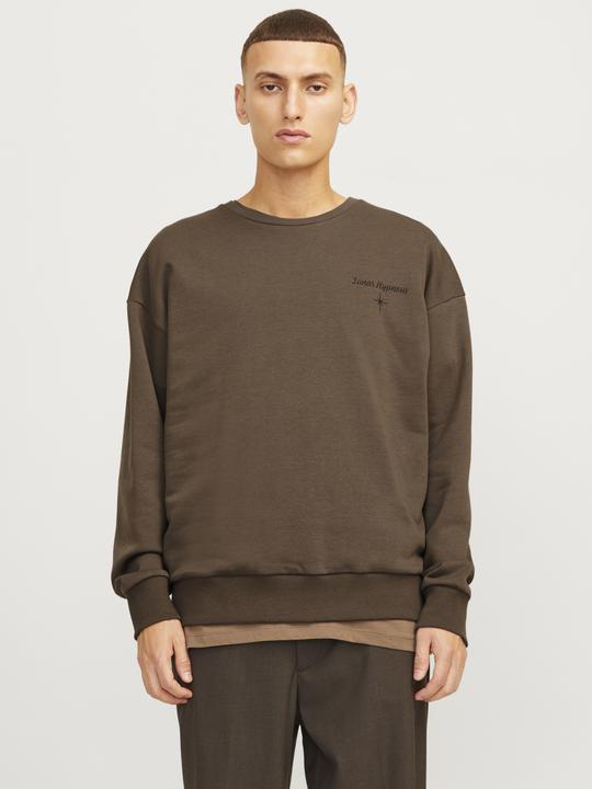 Actual product image Jack & Jones Printed sweatshirt Sweatshirt (XS)