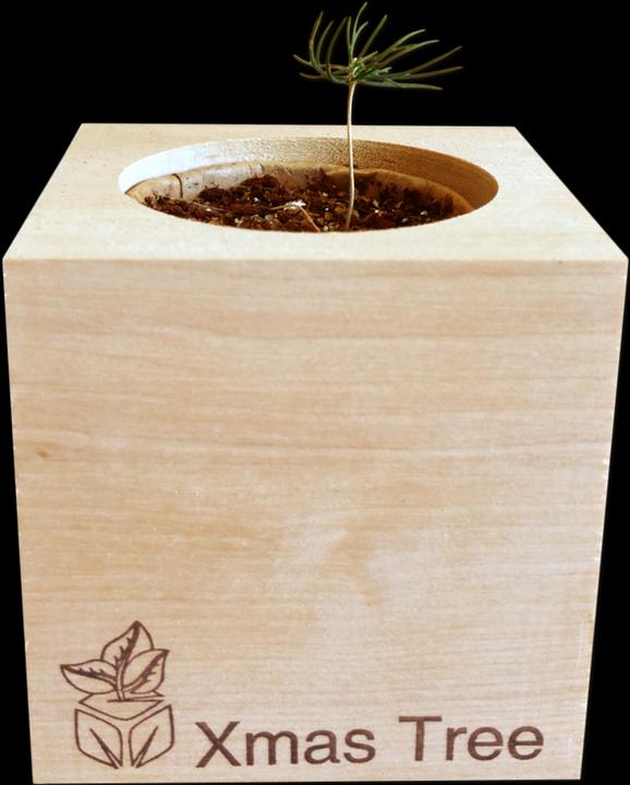 Actual product image Feel Green Ecocube (Plant seeds)