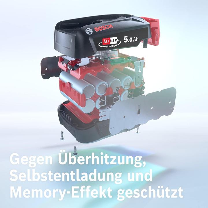 Image du produit Bosch Home & Garden Batterie amovible (18 V)