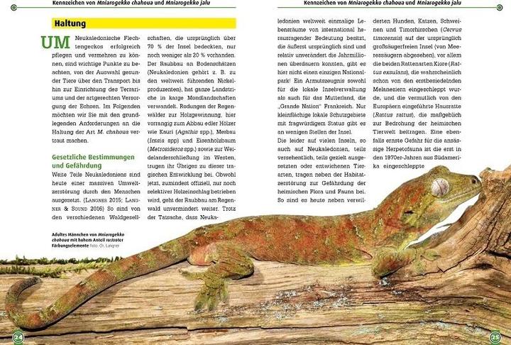 Actual product image Südlicher und Nördlicher Flechtengecko (German, Erwin Schröder, Andreas Laube, Christian Langner, 2018)