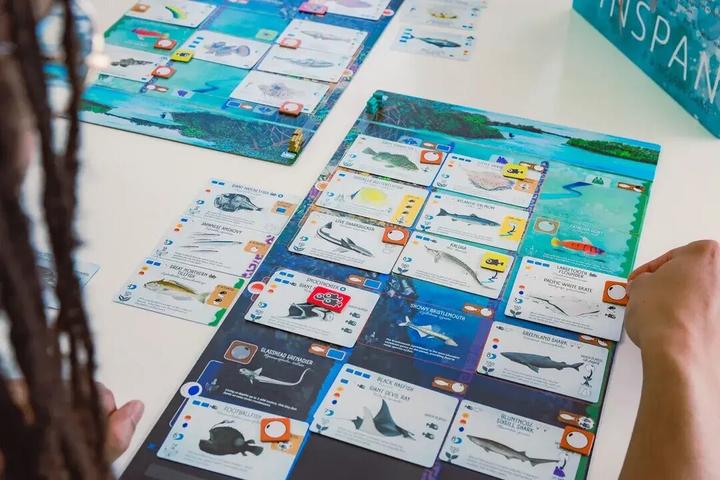 Image du produit Matagot Finspan (Français)