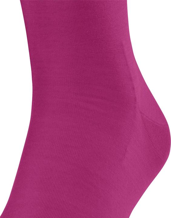Actual product image Falke Clima Wool (Single pack, 41 - 42)