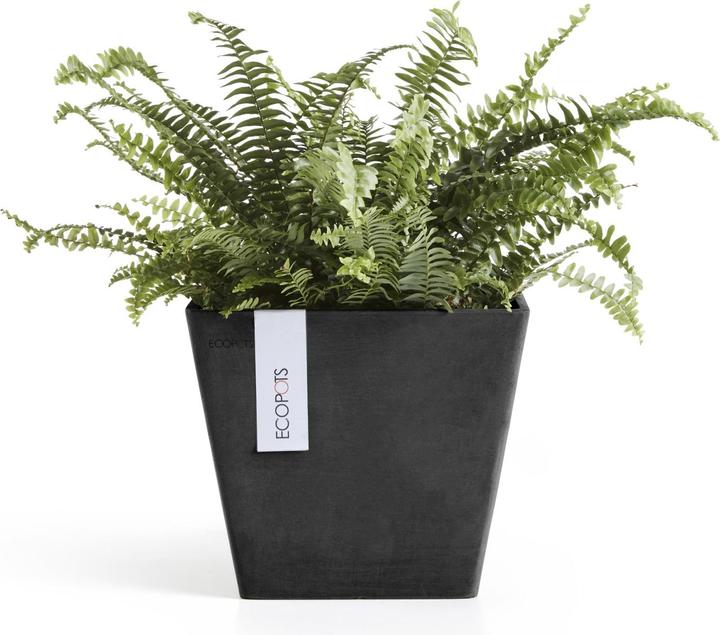 Produktbild Ecopots Rotterdam (20 cm)
