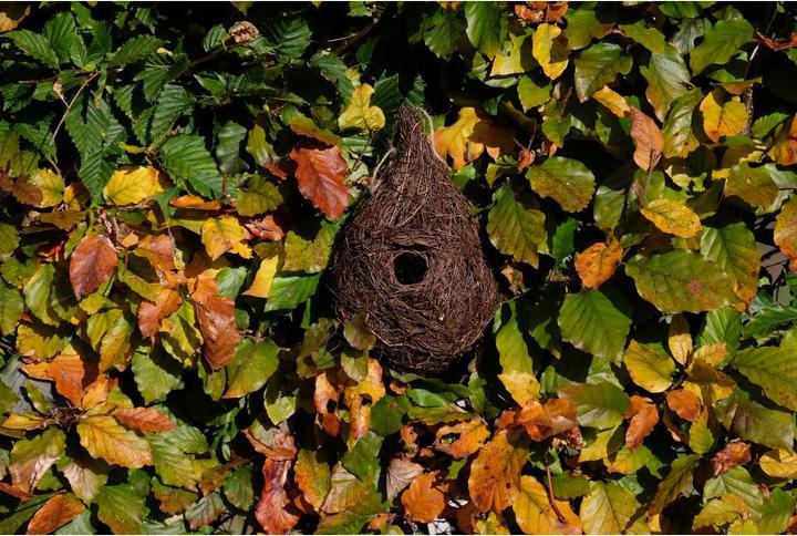 Immagine prodotto Wildlife World Nido d'uccello