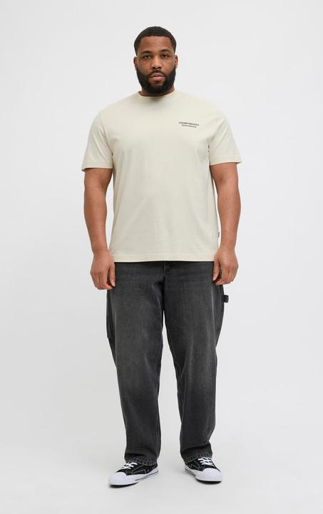 Immagine prodotto Jack & Jones Jorislington Type Tee Ss Crew Neck Pls (XXL)