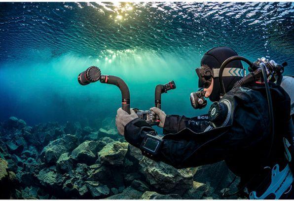 Produktbild Sealife Flex & Connect Flex Arm