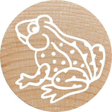 Image du produit Colop WOODIES Stempel-Set "farm Animation" retail