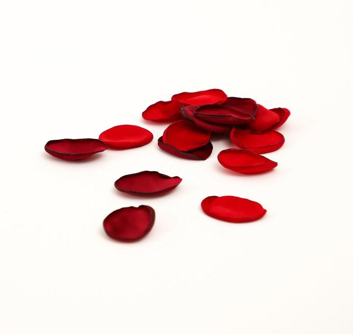 Image du produit Esmée Pétales de rose en soie