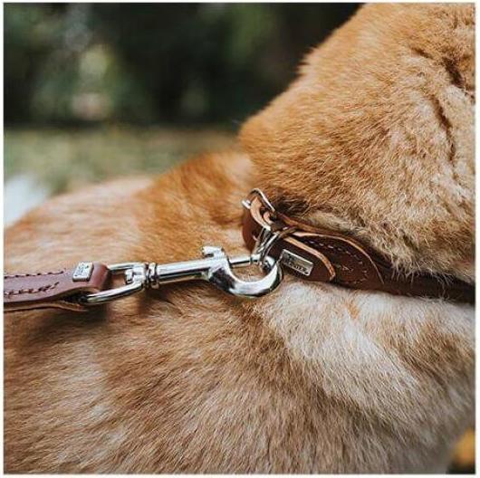 Produktbild Hunter Halsband Round & Soft (S, Hund)