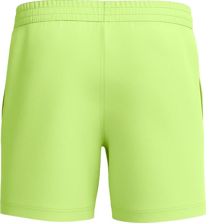 Actual product image Speedo Essential 16" Watershort (S)