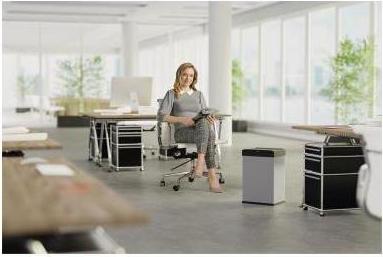 Actual product image Hailo Big-Box Swing (40 l)