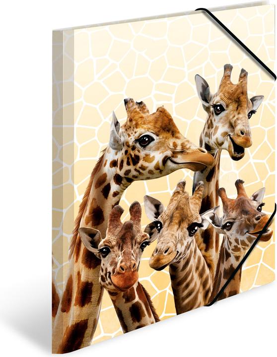 Image du produit HERMA Porte-documents A3 Motif (A3, 1 x)