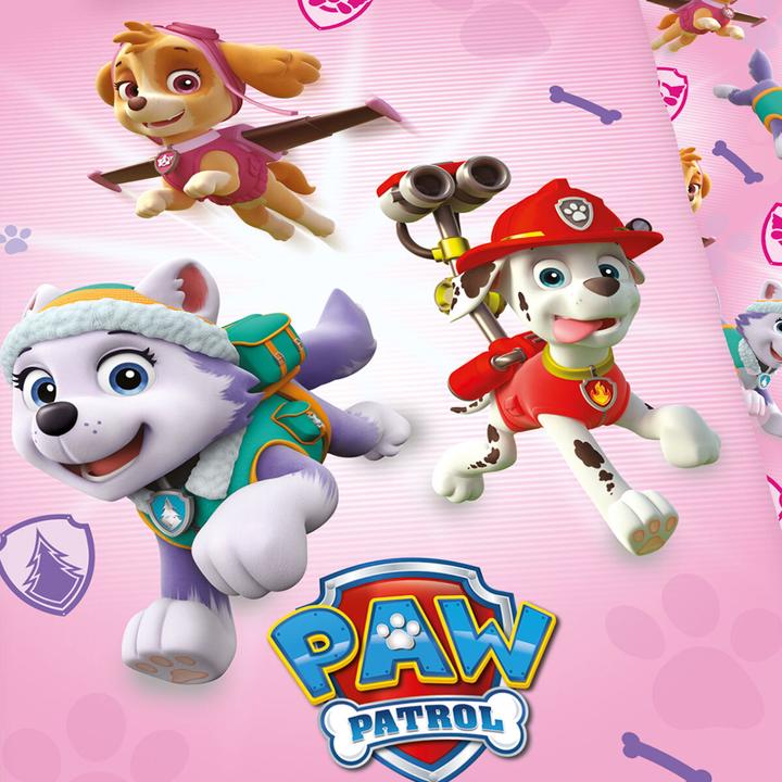 Produktbild Herding Paw Patrol