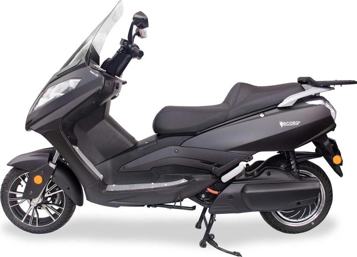 Actual product image ecoro Puma (115 km/h, 9900 W)