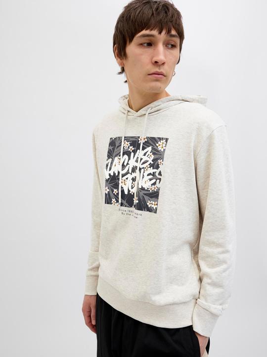 Image du produit Jack & Jones Logo Sweat à capuche Sweat à capuche (XXL)