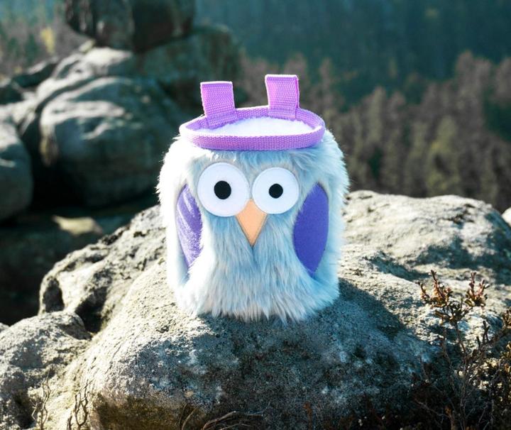 Actual product image Crafty Climbing Owl Owl Chalk Bag
