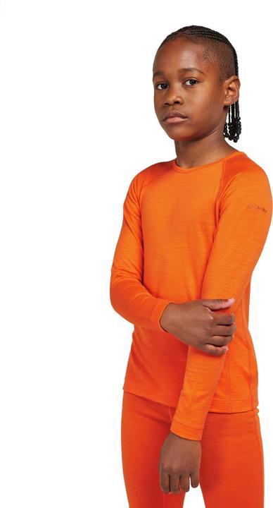 Actual product image Icebreaker Kids 200 Oasis L/S Crewe