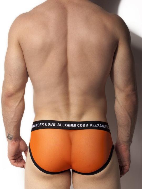 Actual product image Alexander Cobb Transparent briefs (L)
