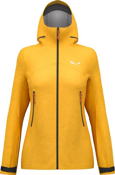 Salewa ORTLES GTX 3L Damen JACKET (40, L)
