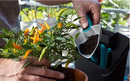 Productafbeelding Gardena Stadstuinieren Balkonbox