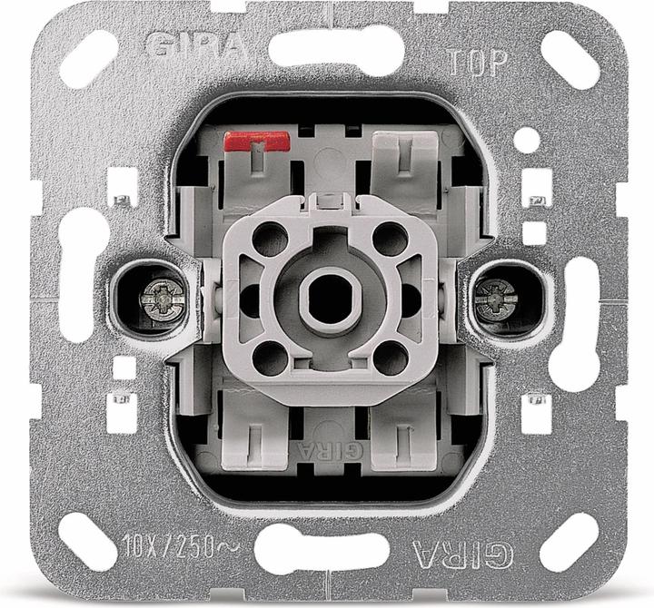 Gira Einsatz Taster Standard 55, E2