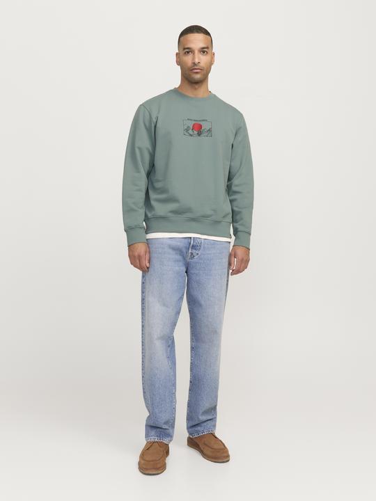 Actual product image Jack & Jones Rddadam Sweat Crew Neck Sn (XL)