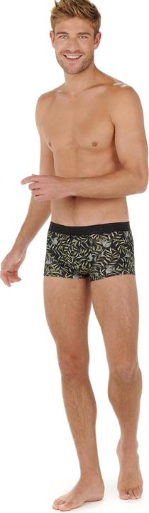 Actual product image HOM Trunk Modal (XL)