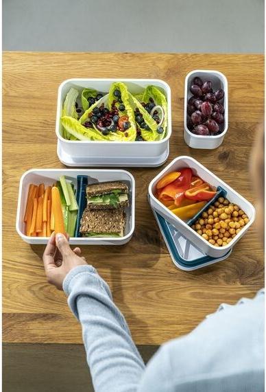 Produktbild Zwilling Dinox FRESH & SAVE Kunststoff-Lunchbox 36801-310-0 1 6 L