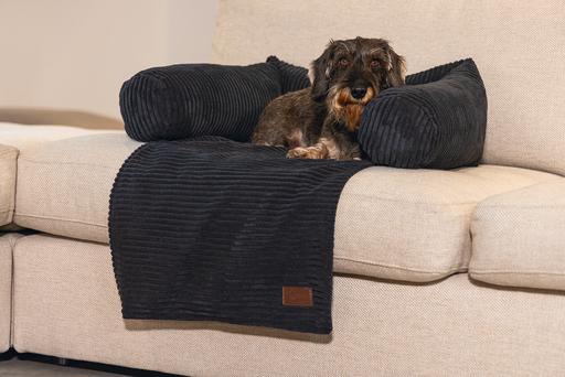 Actual product image Designed by Lotte Ribbed (Dog)
