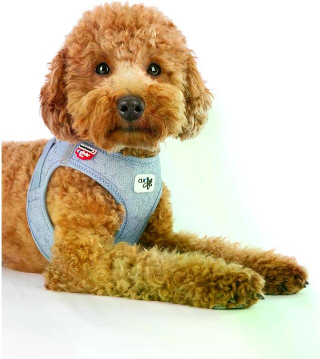 Image du produit Curli Harnais Vest Air-Mesh L SE24, Bleu Élémentaire (L, Chien, Général)
