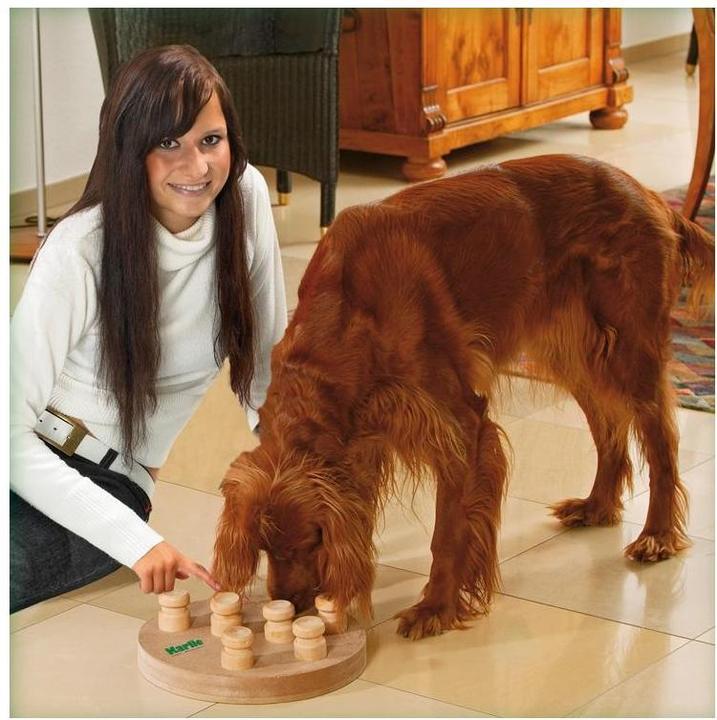 Actual product image Karlie doggy brain train (Intelligence toy dog)