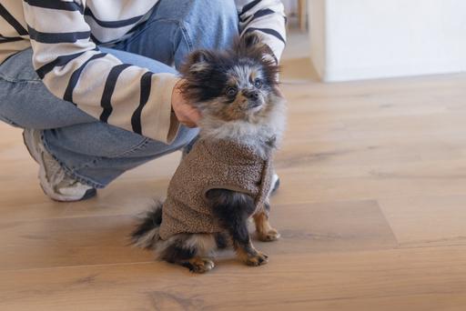 Produktbild Designed by Lotte Hundepullover Madeleine (S, Hundepullover)