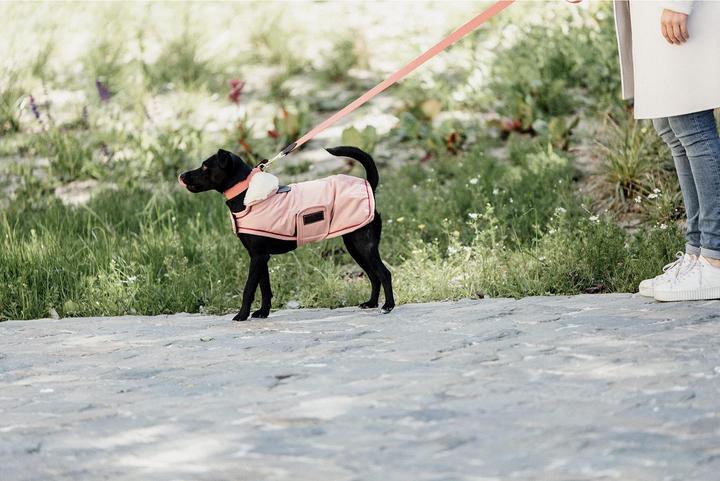 Produktbild Kentucky Dogwear Hundeleine Jacquard (140, Hund, Allgemein)