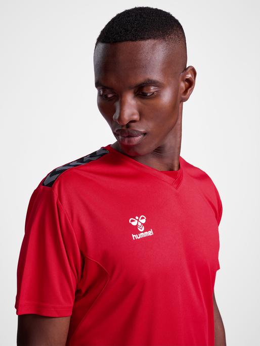 Image du produit hummel Hmlauthentic Pl Jersey S/S (L)