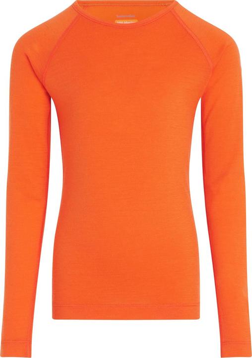 Icebreaker Kids 200 Oasis L/S Crewe (4)