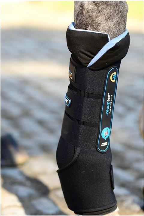 Immagine prodotto Kentucky Horsewear Ghette stabili Magnet Recuptex, coppia