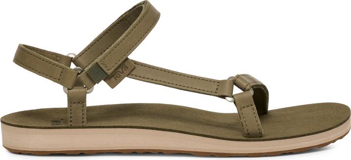 Burnt Olive