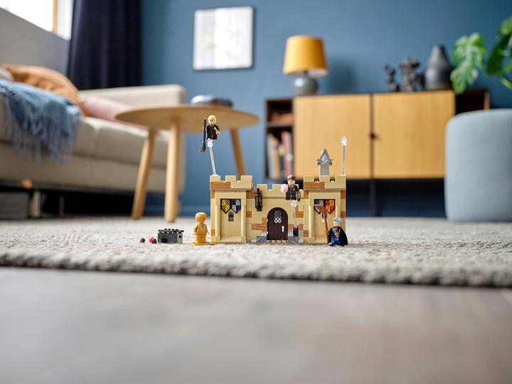Immagine prodotto LEGO Hogwarts: prima lezione di volo (76395, LEGO Harry Potter)