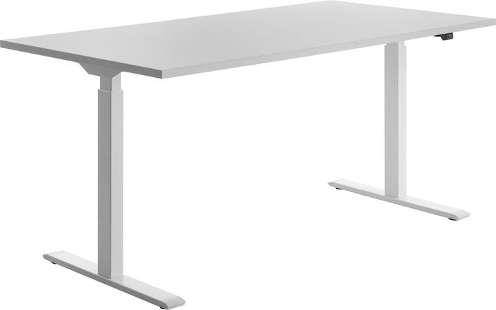 Topstar Schreibtisch (160 x 80 x 120 cm)