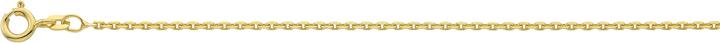 Bijou Classic Collier Anker geschliffen 38 cm (Gold)