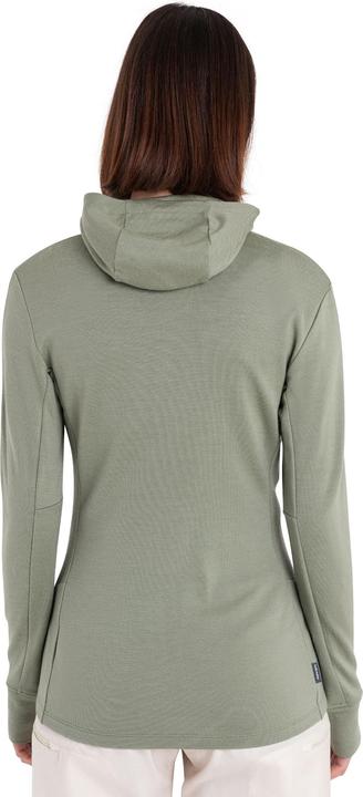 Produktbild Icebreaker 260 Quantum IV Hoodie (S)