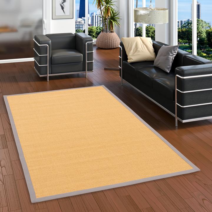 Produktbild Pergamon Sisalteppich Natura Klassisch mit Bordüre (120 x 170 cm)
