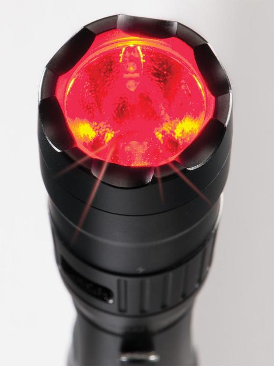 Image du produit Peli Lampe de poche 7600 (15.70 cm, 944 lm)